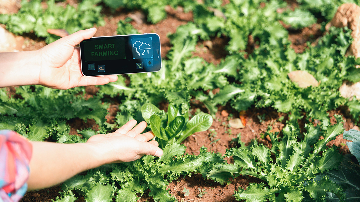 itweb.co.za - Adinga - ERP for agriculture in SA: How Karsten Group modernised farming operations with Acumatica Cloud ERP