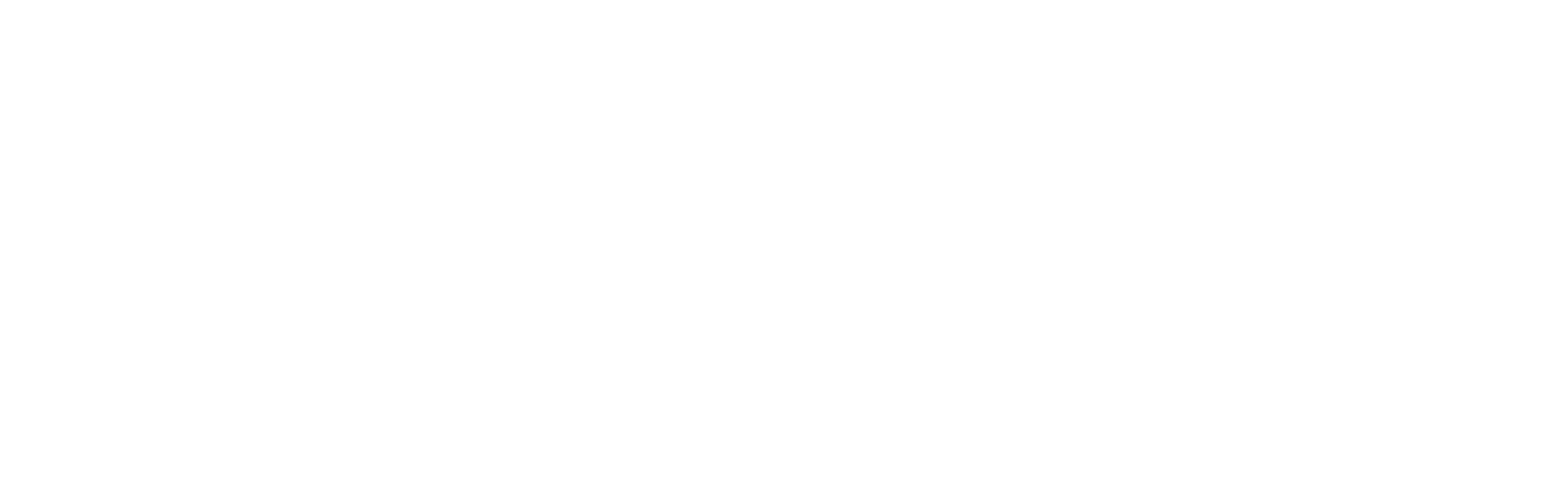 BeeSure Consulting logo