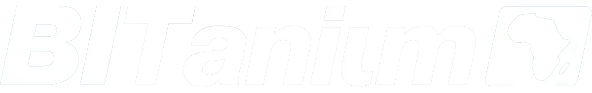 BITanium Consulting (Pty) Ltd logo