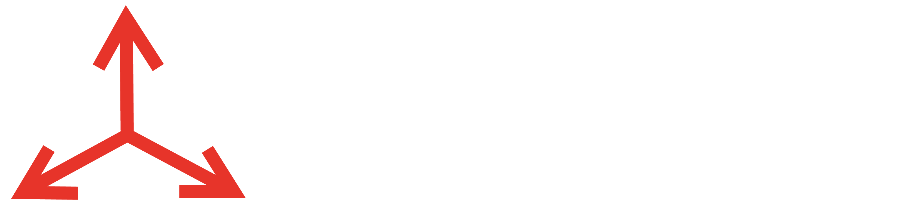 Projectized Management logo