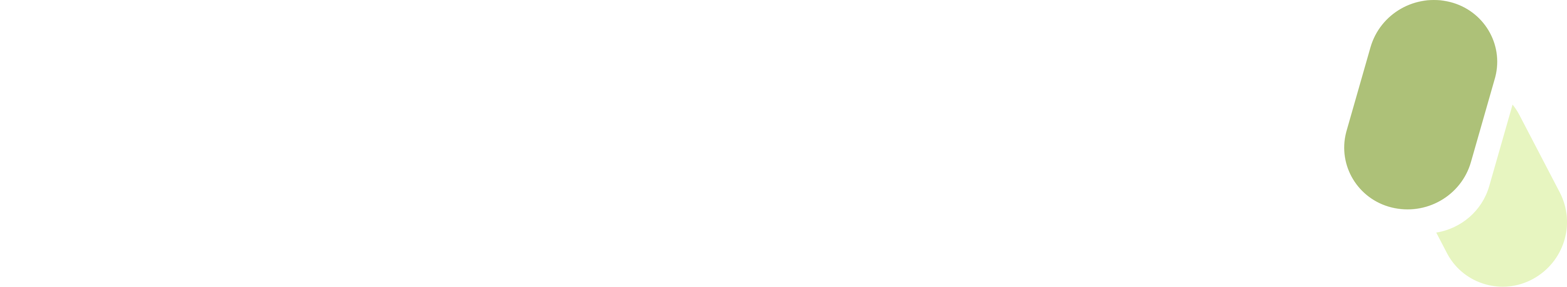 Seseko logo