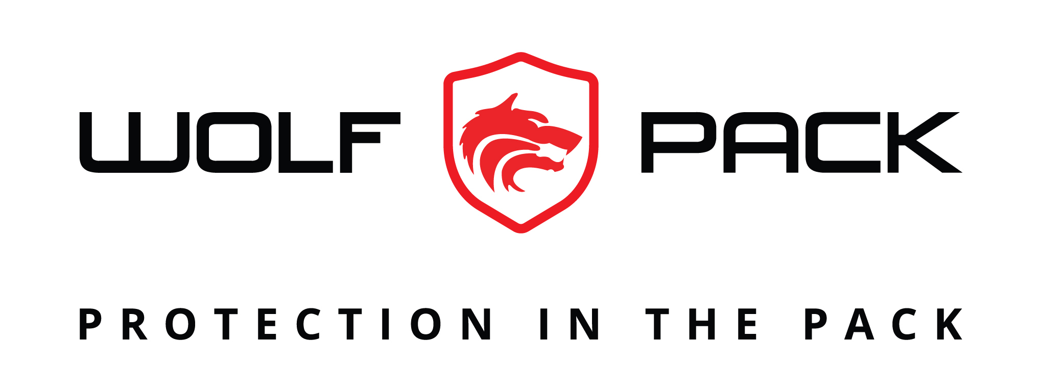 Wolfpack Information Risk (Pty) Ltd logo