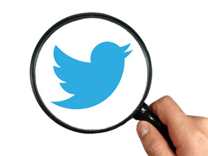 Twitter is forecast to earn $950 million in ad revenue next year.