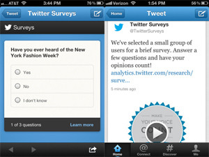 Twitter's new brand surveys will appear in the same way as promoted tweets in users' timelines, and are aimed at providing advertisers with better insights.