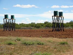 Apart from the ICT interventions, an experimental farm has also been established at the Arthur Mfebe Senior Secondary School.