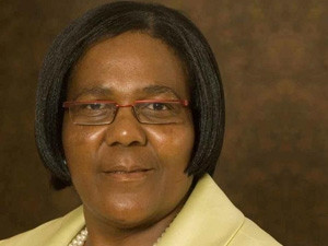 Transport minister Dipuo Peters' fuel levy comments have been dismissed as "scare tactics" and "gross exaggeration".
