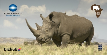 Konica Minolta South Africa - continuing to support WWF in keeping Africa's iconic rhino alive.