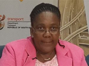 It is unfortunate that some e-toll cyber attacks were deliberately perpetrated by unknown persons and some media houses, says transport minister Dipuo Peters.