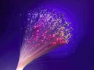 Connectivity Services will provide an open access fibre communications network.