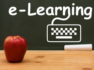 Few South African tertiary institutions offer Web-based learning programmes.