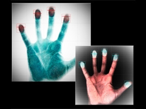 Apple and Samsung may be bringing biometrics to devices, but the technology is far from being part of our daily lives.