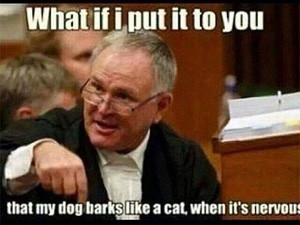 Several memes have been generated - and spread virally - off the back of defence advocate Barry Roux's cross-examination in court.