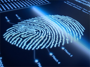 Fingerprint biometrics could open up a new world of security for mobile banking.