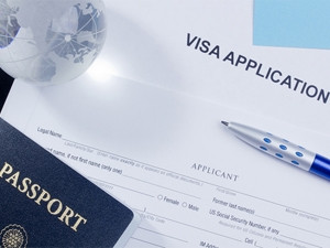 E-visas have proven to be "highly effective" in comparable countries, according to the DA.