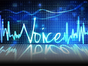 Voice biometric authentication is the only reliable solution to introduce biometrics via a remote channel - the telephone, says TransUnion.
