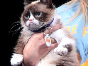 Internet sensation "Grumpy Cat" was one of the only two cats to feature in the video celebrating YouTube's tenth birthday. (Picture: Gage Skidmore)