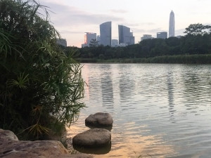 The world's fourth tallest building, the Ping An Finance Centre, is reflected in the water of Shenzhen's central park. The building is still under construction; when finished, it will stand 600m tall.