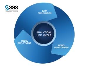 SAS Institute Whitepaper: Analytics on a grand scale