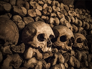 One Airbnb user will win a private dinner and overnight stay for two inside the Catacombs of Paris on Halloween night.