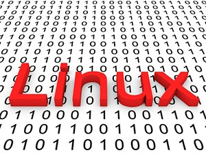 Linux PCs, servers or devices running Android KitKat 4.4 and higher are at risk due to a previously undiscovered Linux flaw.