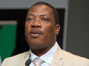 MEC Panyaza Lesufi's department has been accused of stealing the idea for its learner registration site.