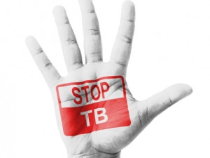 Hundreds of thousands of volunteers are expected to contribute vast computing resources to aid the 'Help Stop TB' project.