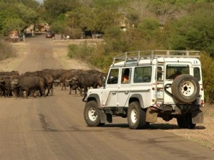 SANParks is now exploring a ban or restriction on mobile apps in the Kruger National Park.