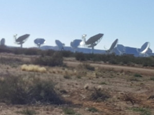 The first 16 dishes of the MeerKAT radio telescope are located at the Square Kilometre Array core site outside Carnarvon in the Northern Cape.