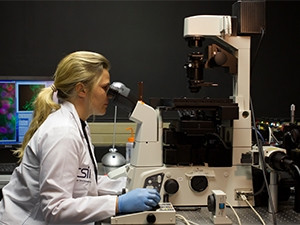 Dr Janine Scholefield, a scientist at the CSIR, peers through the super-microscope.