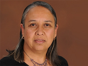 Luci Abrahams, Director: LINK Centre at Wits University.