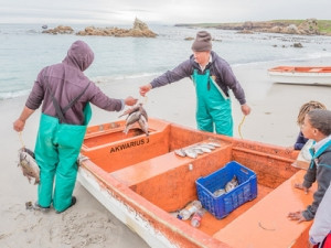 The app suite has the potential to impact 100 000 households dependent on SA's small-scale fisheries sector.