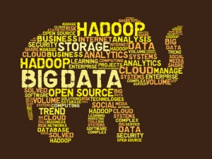 Hadoop has become a mainstream enterprise technology, says Forrester.