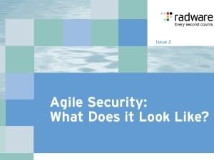 Whitepaper: What is agile security?