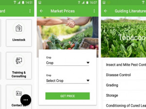 The murimi-umlimi app aims to make farming easier.