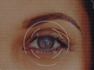 Iris scanning comes to mobile.