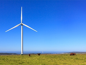 Kouga Wind Farm in the Eastern Cape.