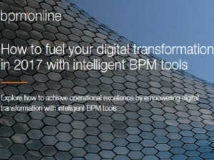 A Bpm'online e-book.