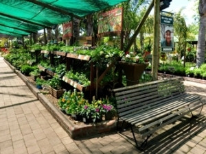 Cape Garden Centre.