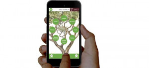 Inside TheTreeApp