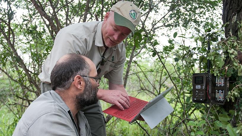 Douglas Gillings and Herman Stander installing AI-capable software on cameras in Hluhluwe-iMfolozi Park in KZN.