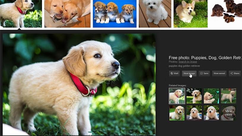 A new Chrome extension re-implements the Google "View Image" and "Search by Image" buttons.