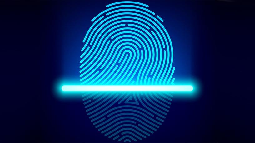 A biometric solution can capture fingerprint data from the skin's surface and subsurface for reliable matching.