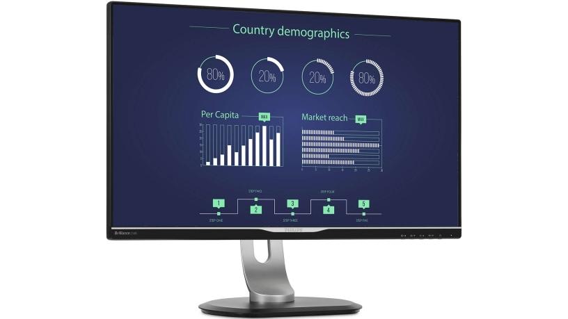 Philips Brilliance B Line LCD Monitor.