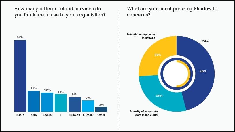 Local firms grapple to control use of cloud apps.