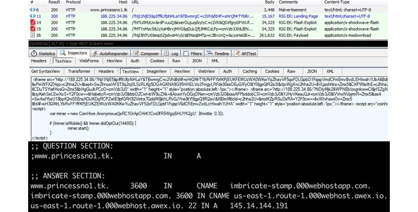 Traffic of the malvertisement delivering Princess Evolution via Rig exploit kit (top), and the domain name system (DNS) response of the malvertisement's domain (bottom).