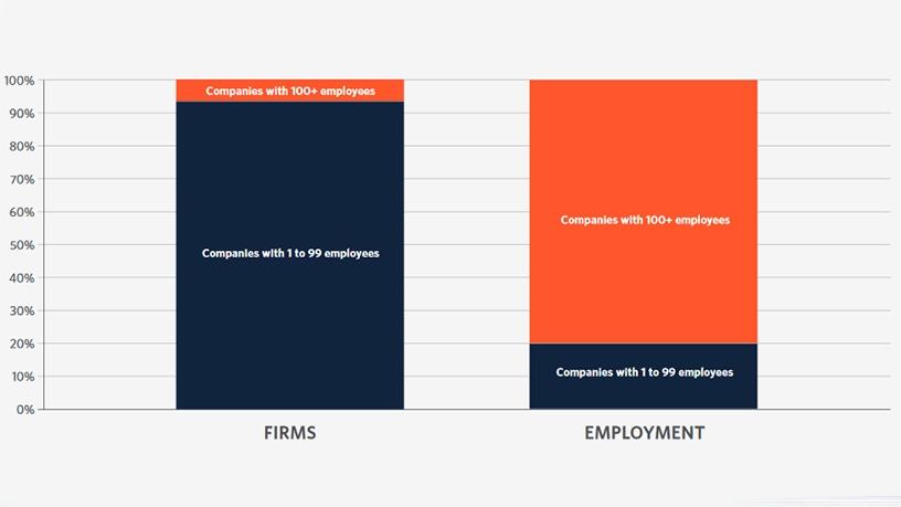 Employment contribution among Cape Town-based tech companies.