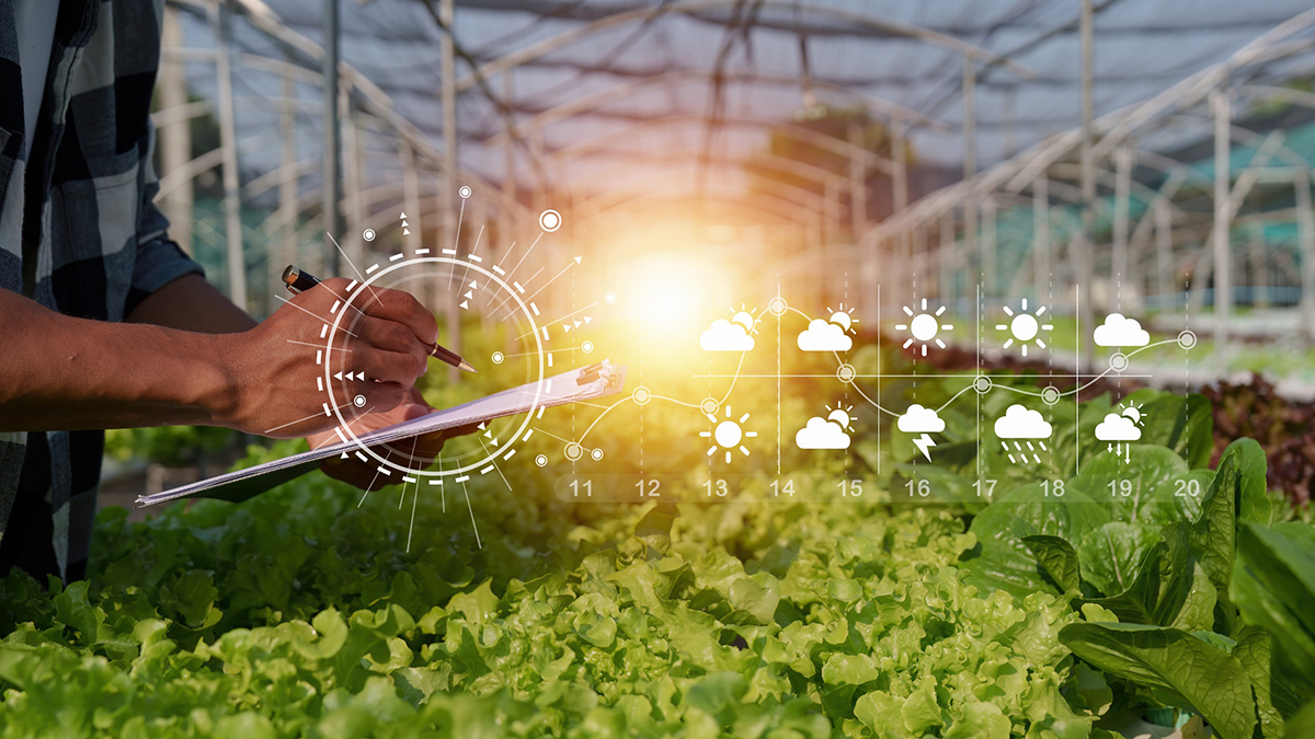 Innovation awards seek agri-food start-ups - Vimarsana News