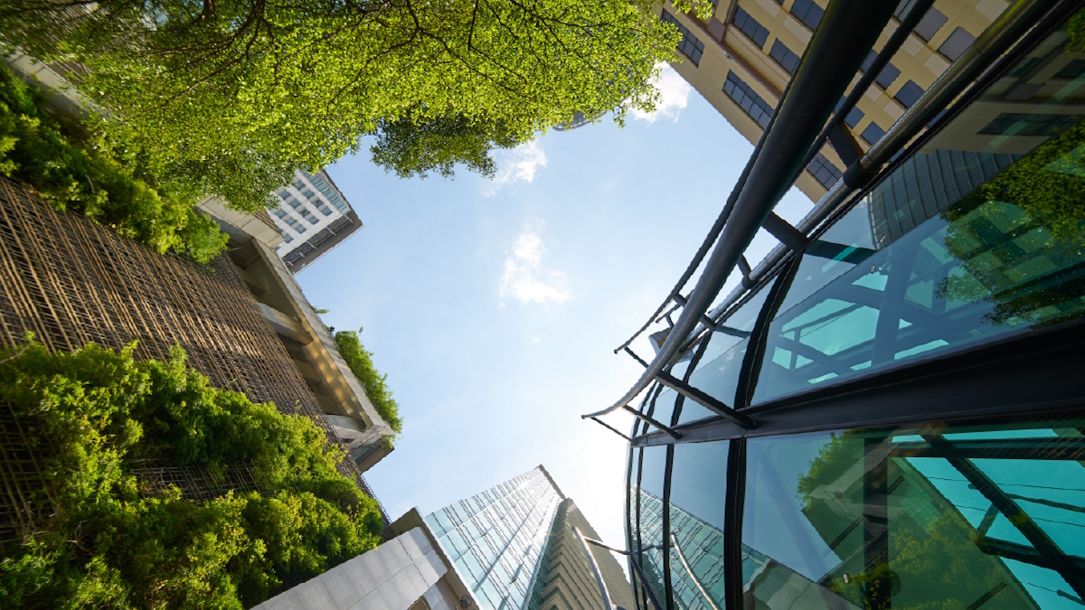 itweb.co.za - BBD - Beyond banking: Why sustainability data is becoming financial infrastructure
